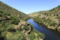 Douro Valley Ã¢â¬â Tributary Coa River